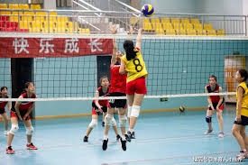 industry-portal-article-layout